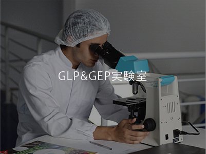 GLP&GEPgY