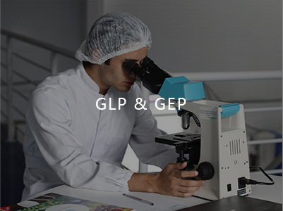 Presentacin del laboratorio de GLP&GEP